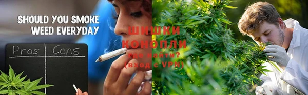 трава Бронницы
