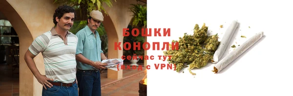 трава Бронницы