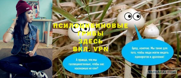 герыч Бородино