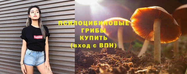 ALPHA-PVP Бугульма