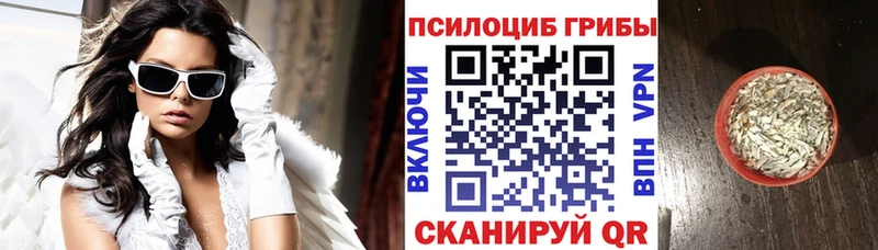 Галлюциногенные грибы прущие грибы наркошоп Новокубанск
